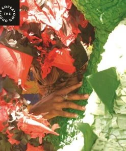 Stones Throw Koreatown Oddity - Finna Be Past Tense, LP Vinyl + Download Card