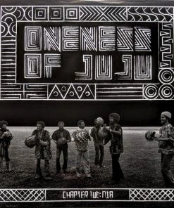 Now Again Oneness Of Juju - Chapter Two: Nia, LP Vinyl