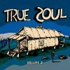 Now Again V/A - True Soul Vol. 2 : Deep Sounds From The Left Of Stax , CD + DVD