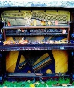 Anticon. Sale Bracken - We Know About The Need, LP Vinyl