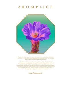 Akomplice - Shamanic Journey Men's Hoodie, Black 6 Akomplice - Shamanic Journey Men's Hoodie, Black