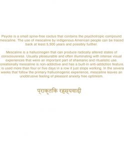 Akomplice - Shamanic Journey Men's Hoodie, Black 7 Akomplice - Shamanic Journey Men's Hoodie, Black