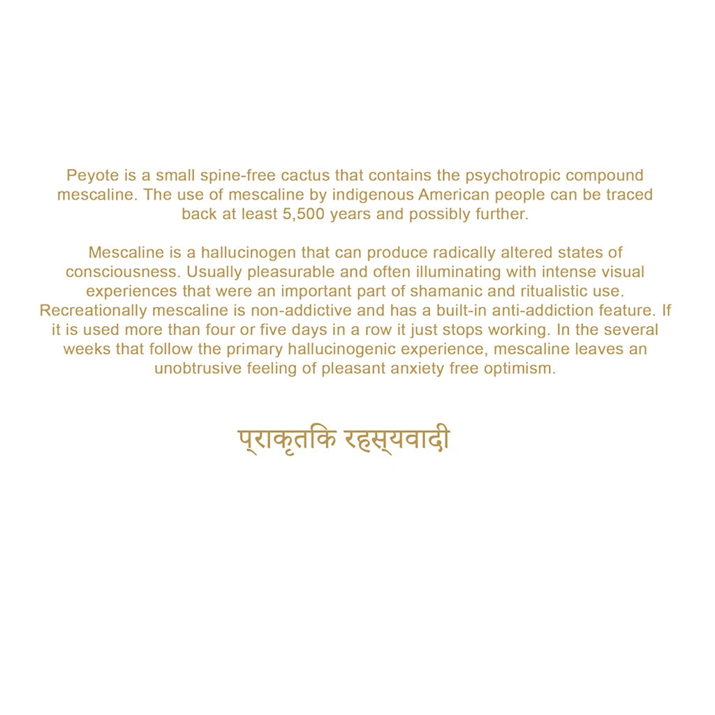 Akomplice - Shamanic Journey Men's Hoodie, Black 4 Akomplice - Shamanic Journey Men's Hoodie, Black