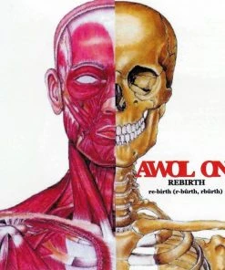 Cornerstone R.A.S. Music Awol One - Rebirth, CD