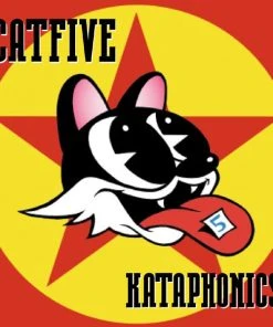 Hip Hop Slam Catfive - Kataphonics, CD $10 Items