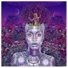 Universal Motown Erykah Badu - New AmErykah Part 2: Return Of The Ankh, CD