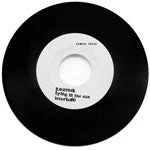 Stones Throw Koushik - Lying In The Sun, 7" Vinyl