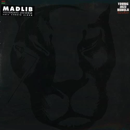Stones Throw Young Jazz Rebels (aka Madlib) - Slave Riot, 2xLP Vinyl 1 Stones Throw Young Jazz Rebels (aka Madlib) - Slave Riot, 2xLP Vinyl