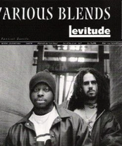 Various Blends - Levitude, 2xLP Vinyl