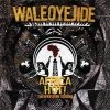 Shaman Work $10 Items Wale Oyejide - Africa Hot! The Afrofuture Sessions, CD