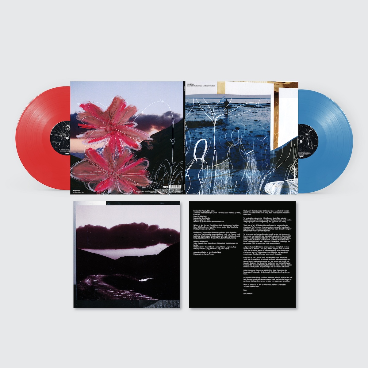 The Giant Peach store -The Giant Peach store 0002